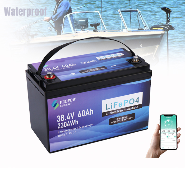 Batteries de moteur 36V pour b - Fishing Boat Trolling Motor avis et prix